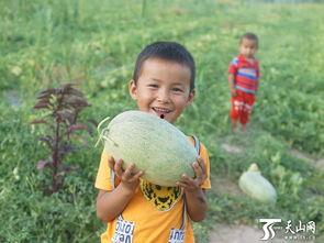 吃瓜群众林美美,揭秘吃瓜群众的趣味生活