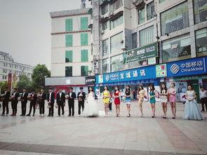 大悟县吃瓜群众,吃瓜群众的欢乐盛宴