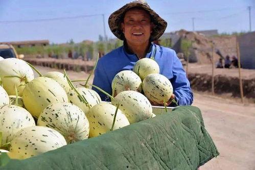 作为一个吃瓜群众英语,Insider's Gist: A Layperson's Perspective on the Latest Buzz