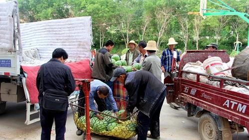 呼伦贝尔吃瓜群众事件,揭秘网络舆论的风暴与反思