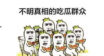 大陆流行语吃瓜群众,网络时代的围观力量