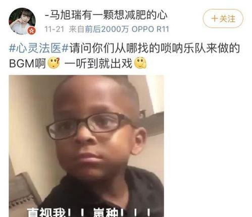 吃瓜群众bgm背景音乐,跟随吃瓜群众bgm，探寻夏日狂欢的秘密